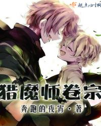 猎魔师卷宗封面