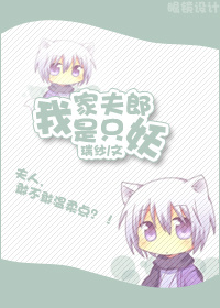 我家夫郎是只妖封面