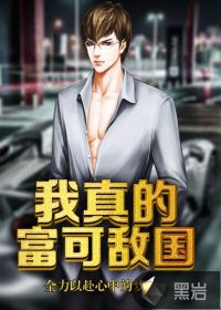 我真的富可敌国封面