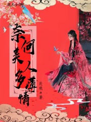 奈何美人多薄情封面