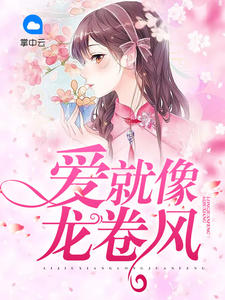 爱就像龙卷风封面