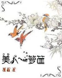 美人一箩筐封面