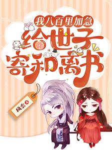 我八百里加急给世子寄和离书封面