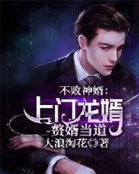 不败神婿：上门龙婿-赘婿当道封面