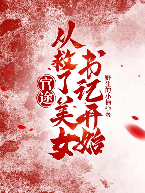 官途：从救了美女书记开始封面