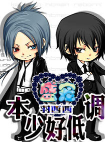 本少好低调封面