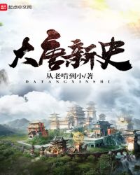 大唐新史封面