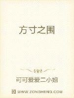 方寸之围封面