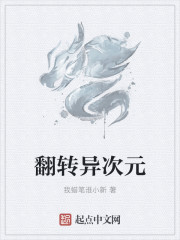 翻转异次元封面