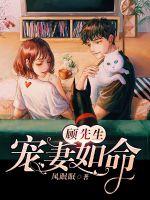 顾先生，宠妻如命封面