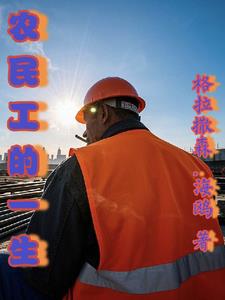 农民工的一生封面