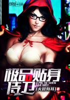 极品贴身侍卫封面