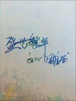 繁华盛世之文心雕龙封面