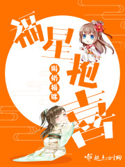 福星抱喜封面