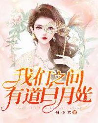我们之间有道白月光封面