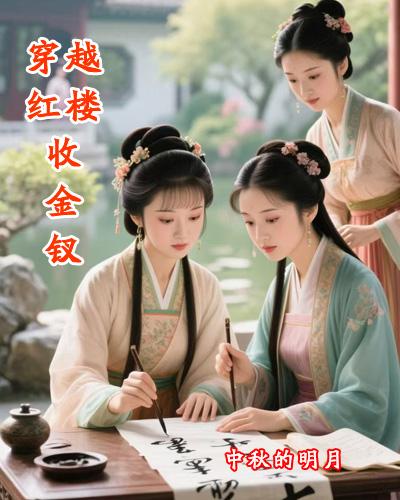 穿越红楼收金钗封面