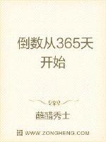 倒数从365天开始封面