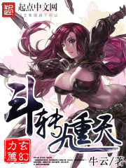 斗转九重天封面