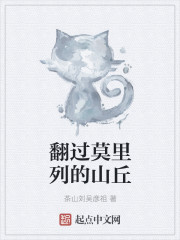 翻过莫里列的山丘封面