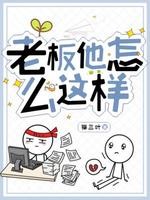 老板他怎么这样封面