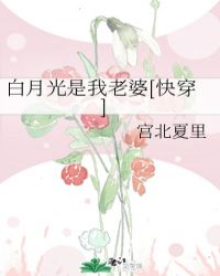白月光是我老婆[快穿]封面