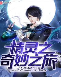 精灵之奇妙之旅封面