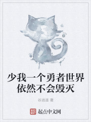 少我一个勇者世界依然不会毁灭封面