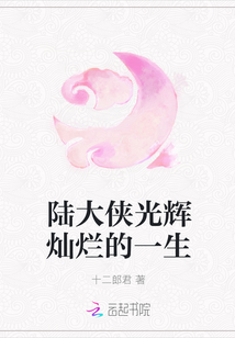 陆大侠光辉灿烂的一生封面