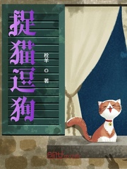 捉猫逗狗封面