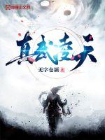 真武凌天封面