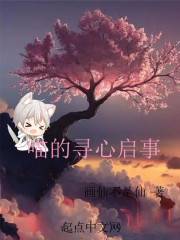 喵的寻心启事封面