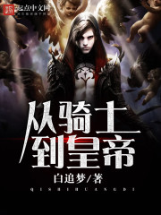 从骑士到皇帝封面