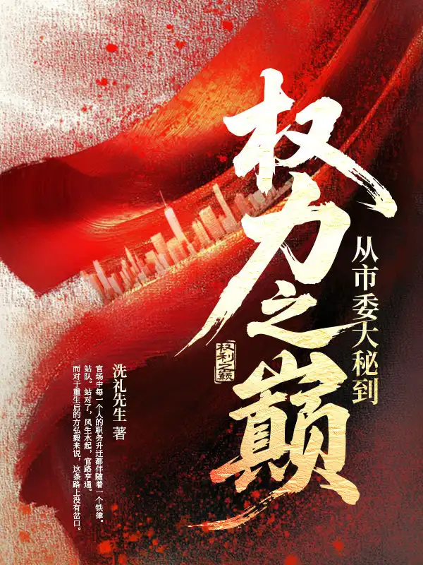从市委大秘到权力之巅封面