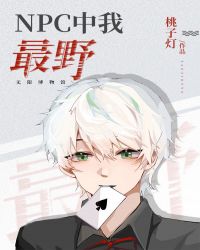 NPC中我最野[无限流]封面