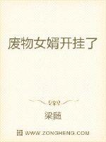 废物女婿开挂了封面