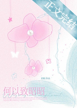 何以致昭昭封面