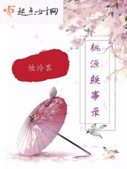 桃源轶事录封面