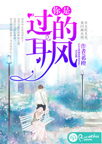 你是过耳的风封面
