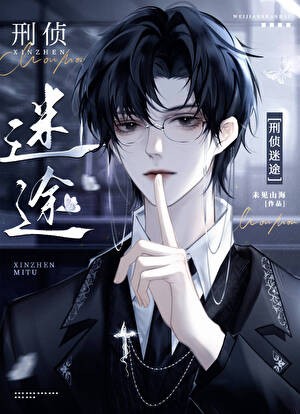 刑侦:迷途封面