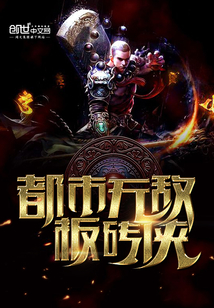 都市无敌板砖侠封面