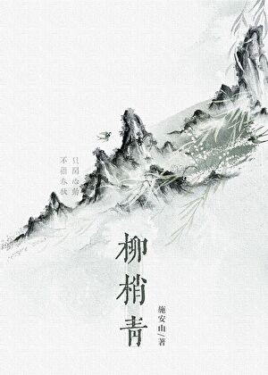 柳梢青封面