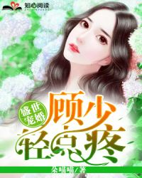 盛世宠婚：顾少轻点疼封面