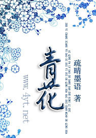 青花封面