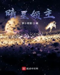 暗星领主封面