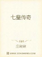 七皇传奇封面