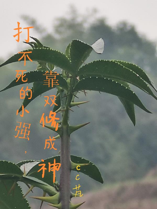 打不死的小强，靠双修成神封面