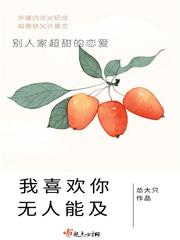 我喜欢你无人能及封面