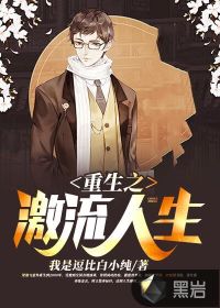 重生之激流人生封面