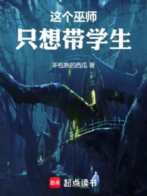 这个巫师只想带学生封面