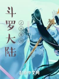 斗罗大陆之水寒剑封面